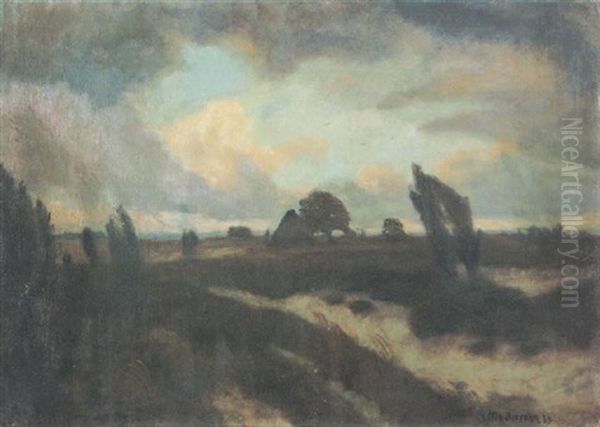 Luneburger Heide - view 1
