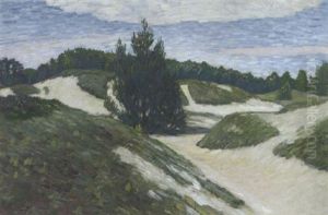 Dunen In Der Surheide Mit Marchentanne Dunen In Der Surheide Mit Marchentanne