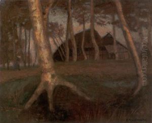 Herbstabend Im Moor - Hinter Birkenstammen, Die In Der Letzten Abendsonne Leuchten