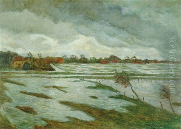 Landschaft Bei Fischerhude - view 1