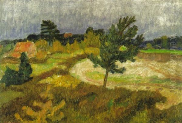 Sturmischer Tag In Der Surheide - view 1