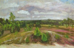 Heide Bei Fischerhude