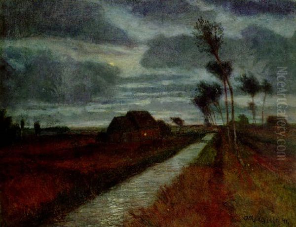 Nachtliche Moorlandschaft - view 1