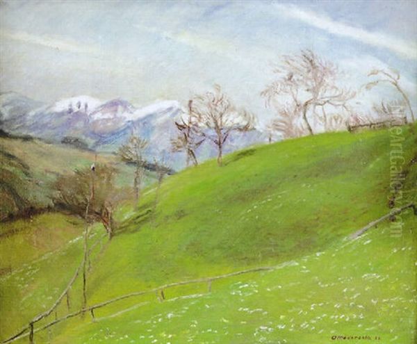 Gailenberger Wiesen Im Marz 1933 - view 1