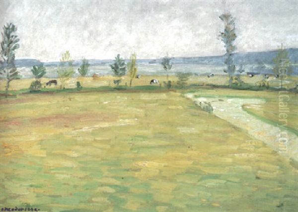 Wummewiesen Im Mai - view 1