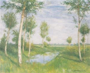Moorlandschaft Mit Birken