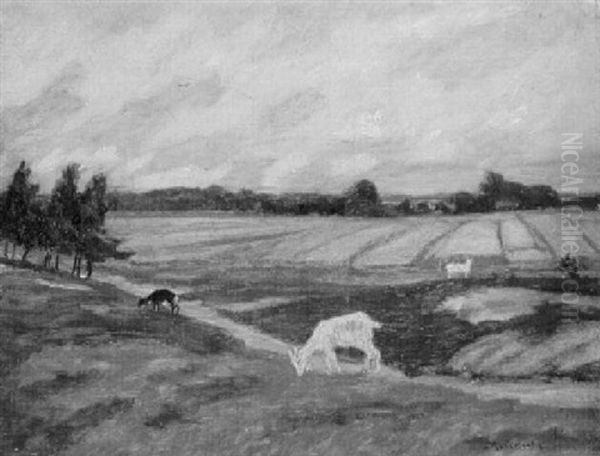 Weidende Ziegen Am Rande Der Surheide - view 1