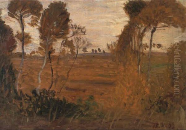 Landschaft - view 1