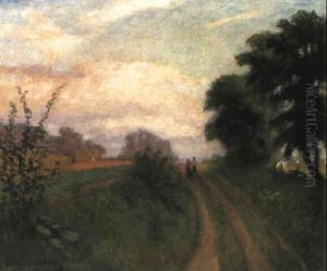 Weg Durch Felder Weg Durch Felder