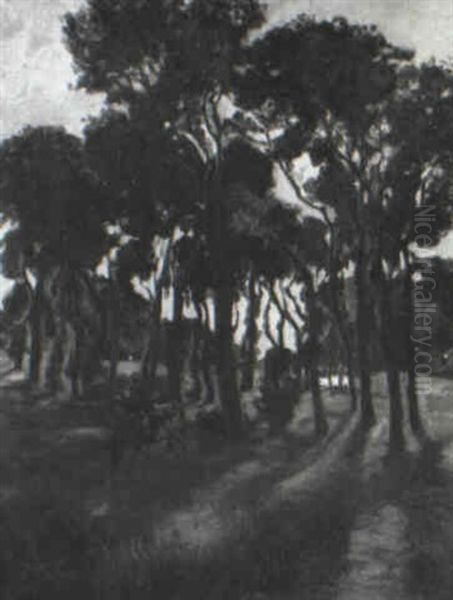 Cow Grazing In A Landscape - view 1