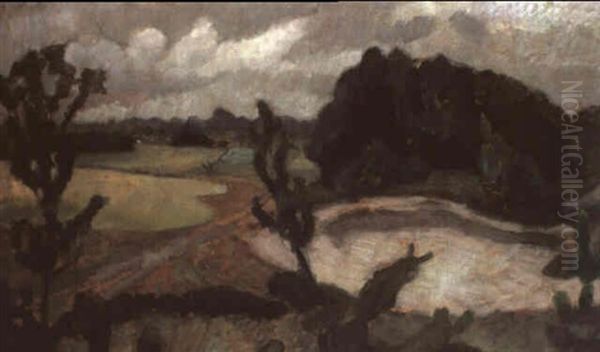 Heidelandschaft Mit Sanddune - view 1