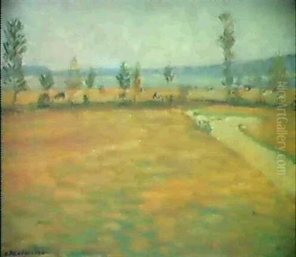 Sommerwiesen In Norddeutschland - view 1