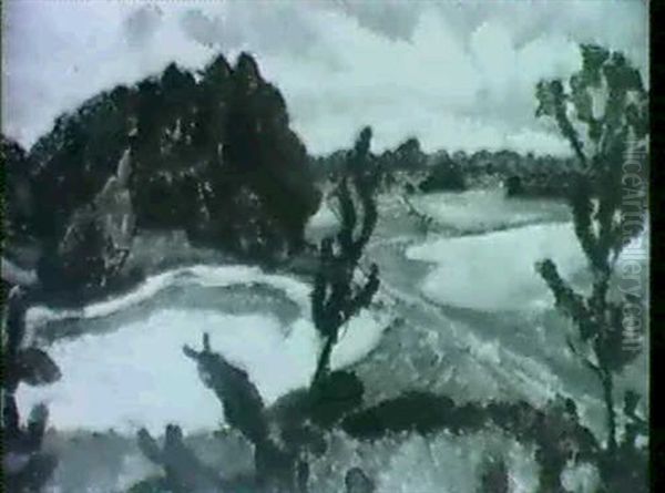 Heidelandschaft Mit Sanddune - view 1