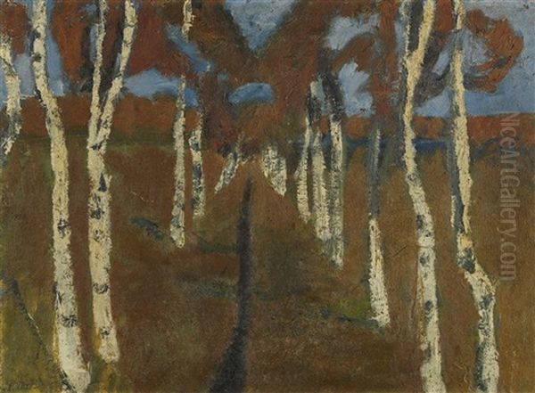 Birkenweg (path With Birch Trees) - view 1
