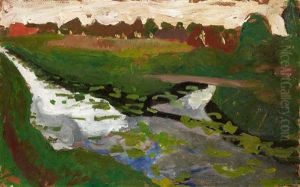 Landschaft Mit Moorkanal