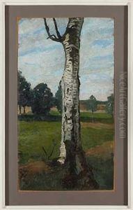 Landschaft Mit Birkenstamm