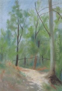 Sonnige Waldlandschaft Mit Pfad by Theo Modespacher
