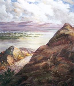 Desert Expanse