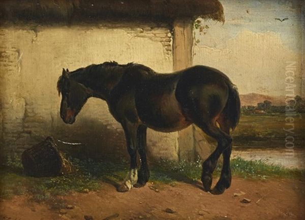 A Horse Outside The Stable - view 1