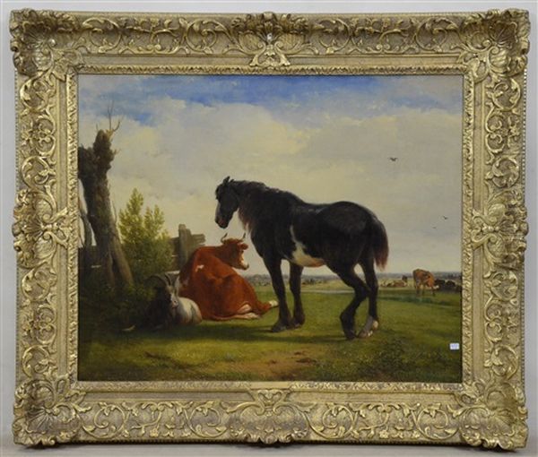 Cheval, Vache Et Chevre Au Repos - view 1