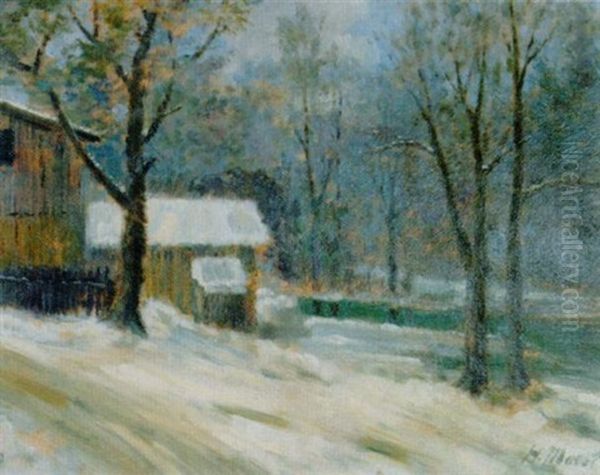 Parklandschaft Im Winter - view 1