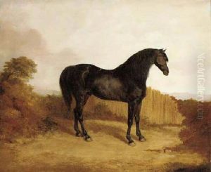 A Liver Chestnut In A Landscape