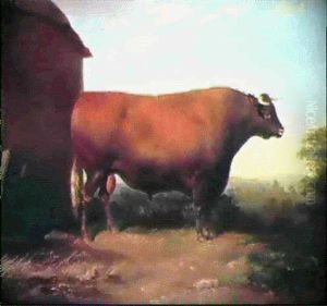 Shorthorn Bull [&] Shorthorn Cow by Thomas Mogford