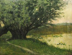 Tree At The Border Of The Pond