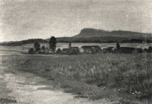 Sommerlandschaft - view 1