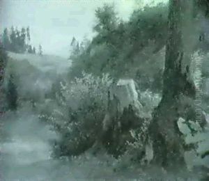 Baumstrunk Zwischen Baum Und Gebusch