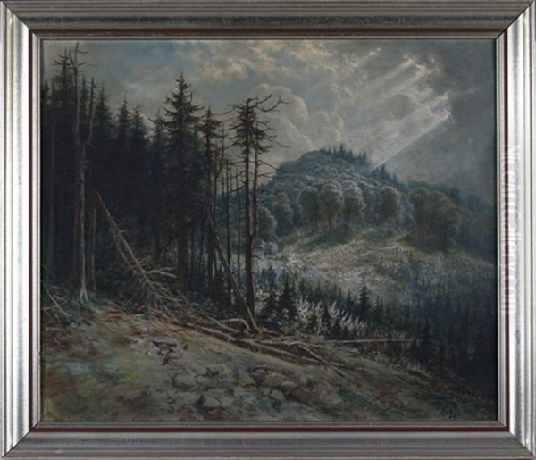 Die Rhon (osthessisches Bergland) - view 1