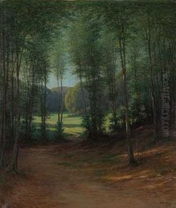 Blick Auf Sommerliche Waldlichtung by Johann Georg Mohr
