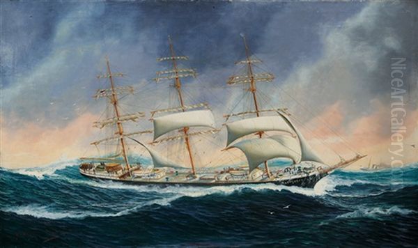 Ship Portrait Of The Tarpenbek - view 1