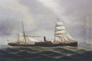 The British-registered Steamer "anglo-indian" Outward Bound For Argentina