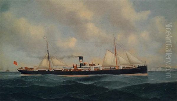 "s.s. Endeavor" - view 1