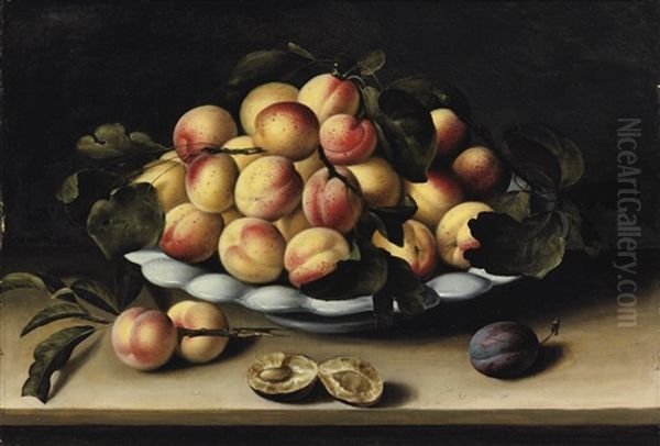 Coupe D'abricots, Peches Et Prunes Sur Un Entablement - view 1