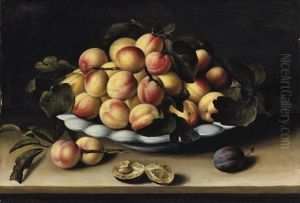 Coupe D'abricots, Peches Et Prunes Sur Un Entablement by Louise Moillon