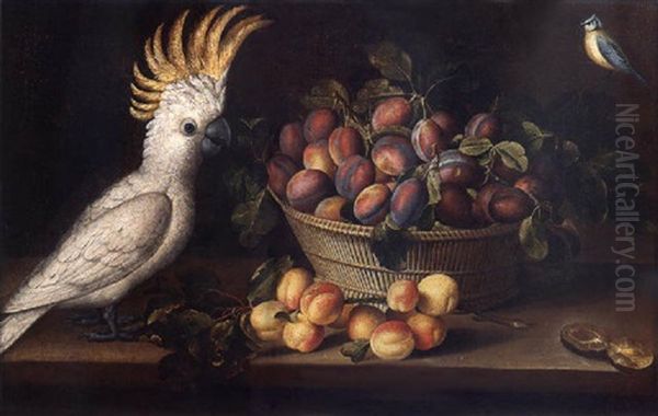Albicocche, Cesto Di Prugne, Cacatua E Cinciallegra - view 1
