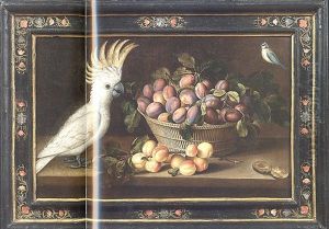 Albicocche, Cesto Di Prugne, Cacatua E Cinciallegra by Louise Moillon