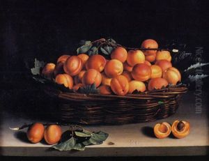 Le Panier D'abricots by Louise Moillon