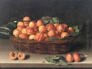 Nature Morte A La Corbeille D'abricots Nature Morte A La Corbeille D'abricots