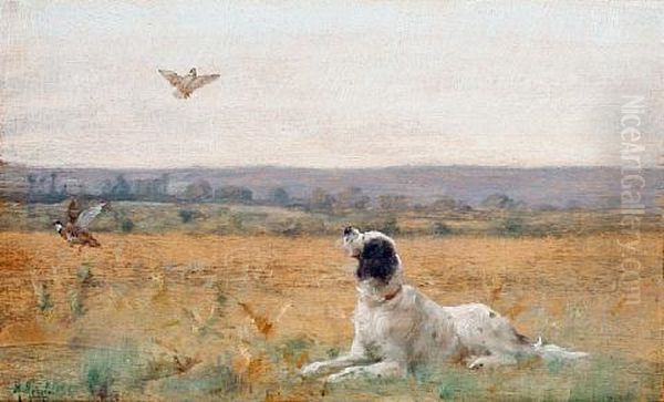 A Springer Spaniel In A Field With Partridges In Flight - view 1