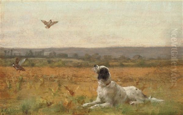 Watching The Pheasants - view 1