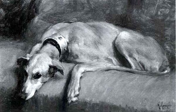 Study Of A Greyhound - view 1