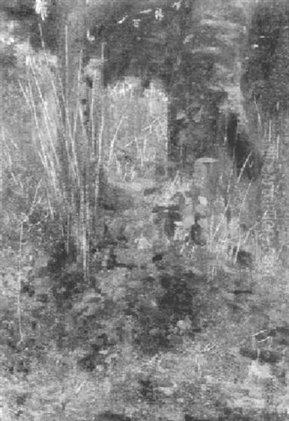 Waldwiese - view 1