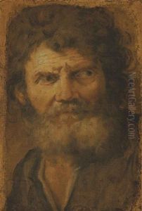 Head Of An Old Man