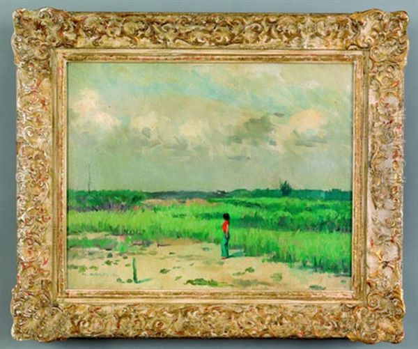 Landscape - view 1