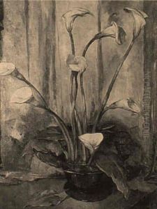 Callalilies by Maurice, Morris Molarsky