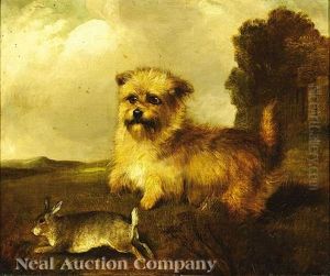 An Agreeable Surprise by John Henry Mole