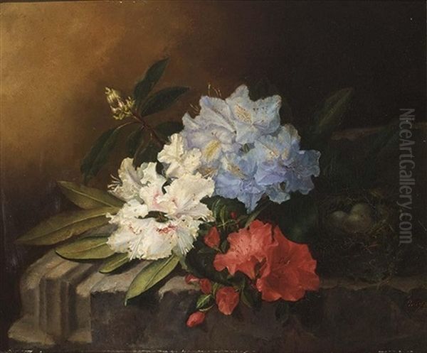 A Still Life With Rhododendrons - view 1